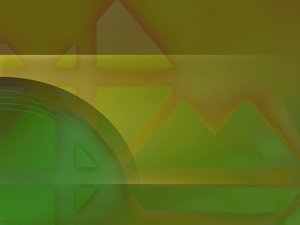 Net Promoter Score优化指南：持续改进的方法